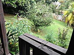 Windsor Park (D20), Detached #482020311